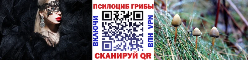 Галлюциногенные грибы мицелий Апрелевка